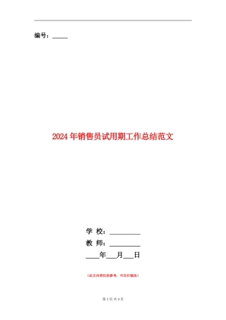 2024年销售员试用期工作总结范文
