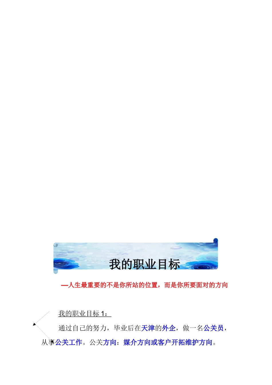 职业规划书(示例版)_第3页