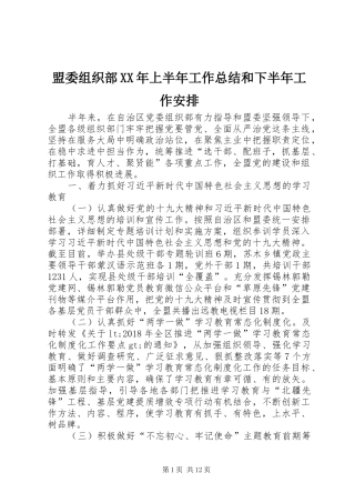 盟委组织部XX年上半年工作总结和下半年工作安排