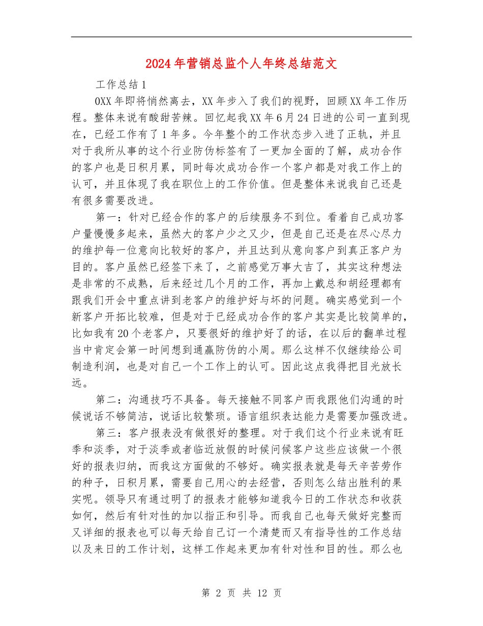 2024年营销总监个人年终总结范文_第2页