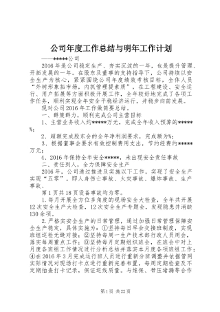 公司年度工作总结与明年工作计划