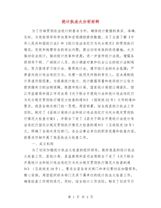 统计执法大分析材料
