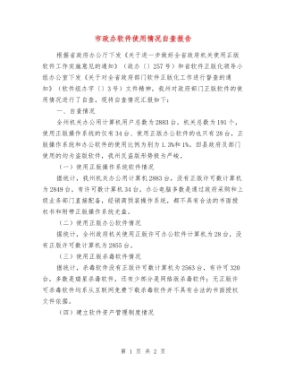 市政办软件使用情况自查报告