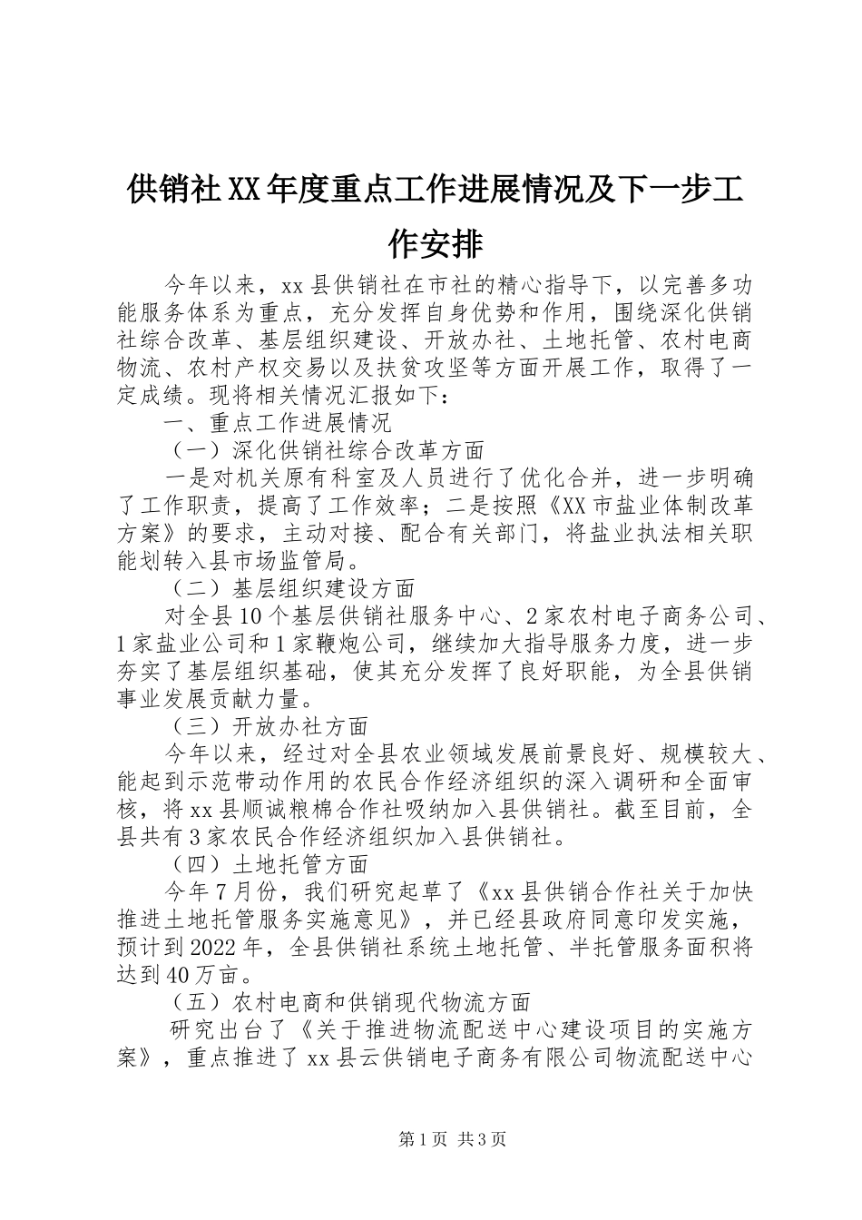 供销社XX年度重点工作进展情况及下一步工作安排_第1页