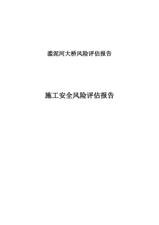 滥泥湖大桥风险评估报告(1)