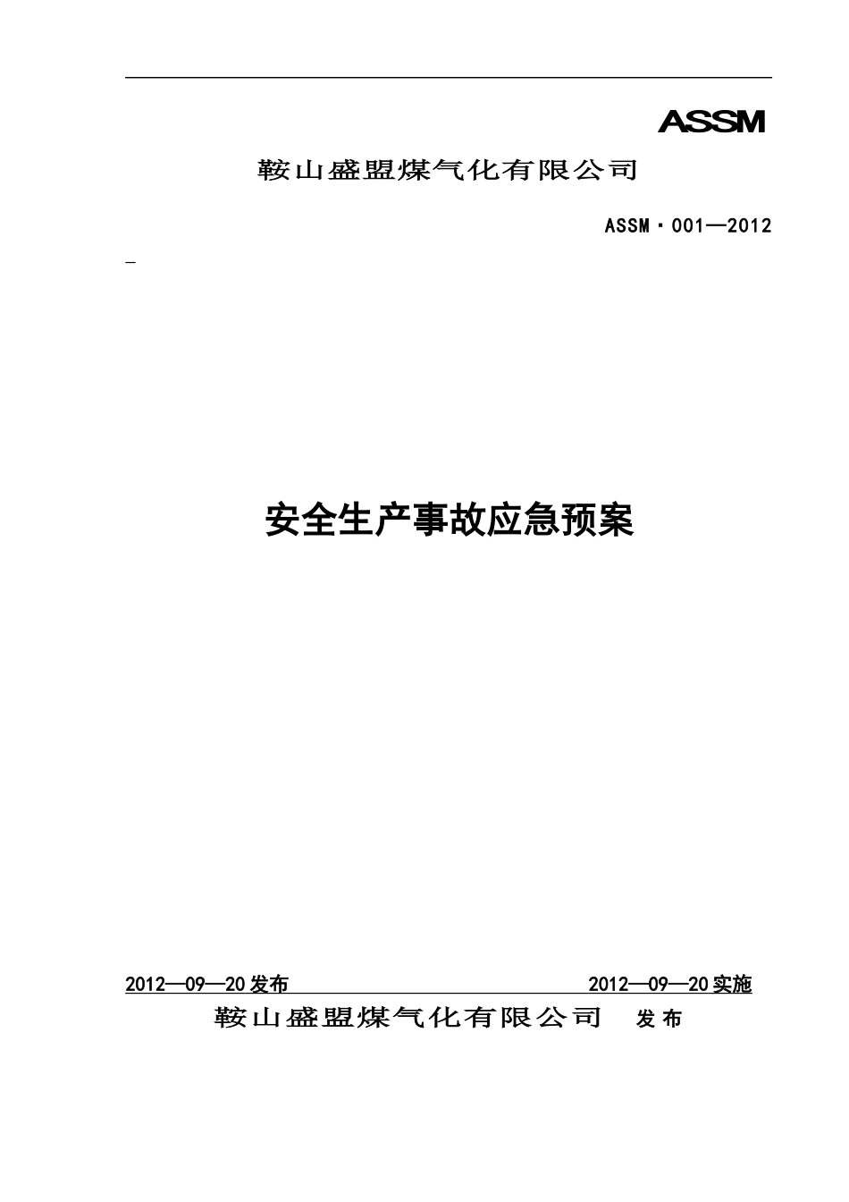 煤气化有限公司安全生产事故应急预案_第1页