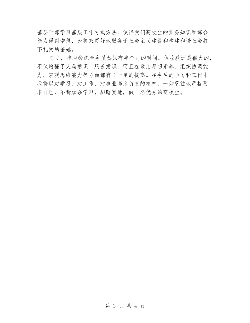 大学生暑期挂职个人心得体会_第3页