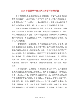 2024乡镇领导干部三严三实学习心得体会