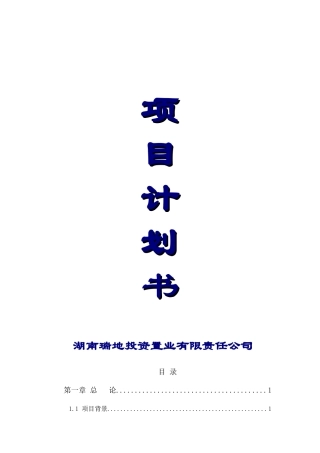 湖南瑞地投资置业有限责任公司项目计划书_132页