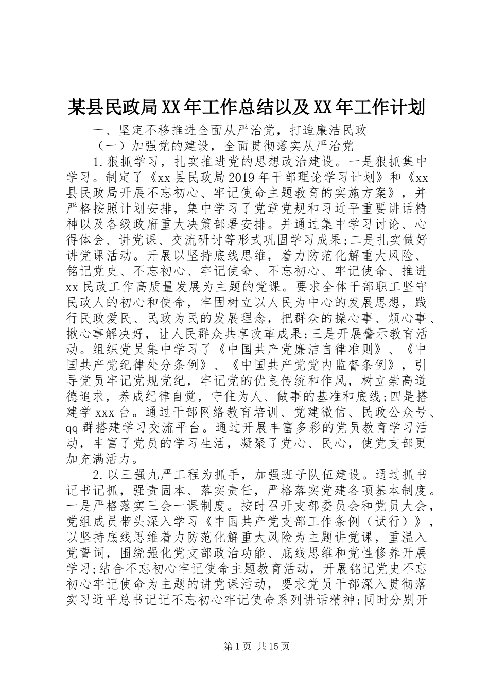 某县民政局XX年工作总结以及XX年工作计划_第1页