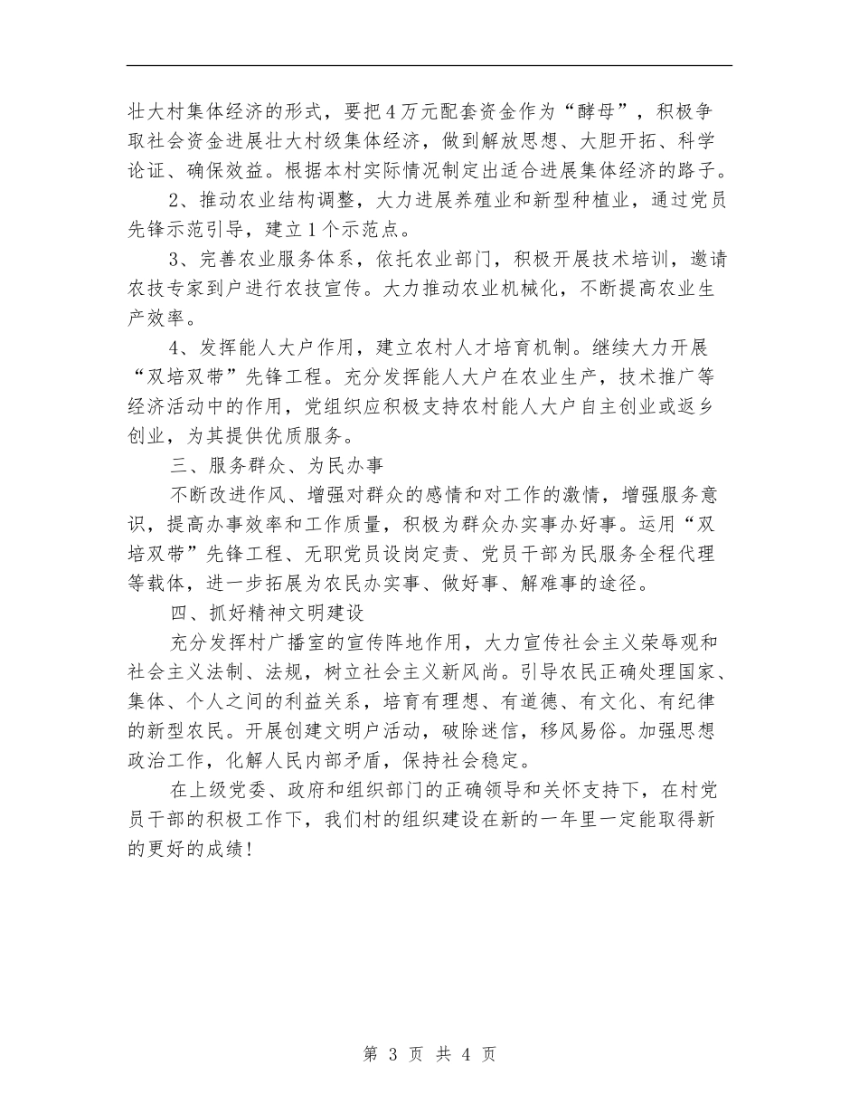 2024年村级工作计划_第3页