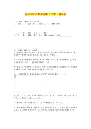 2024年小升初周周练(十四)-青岛版