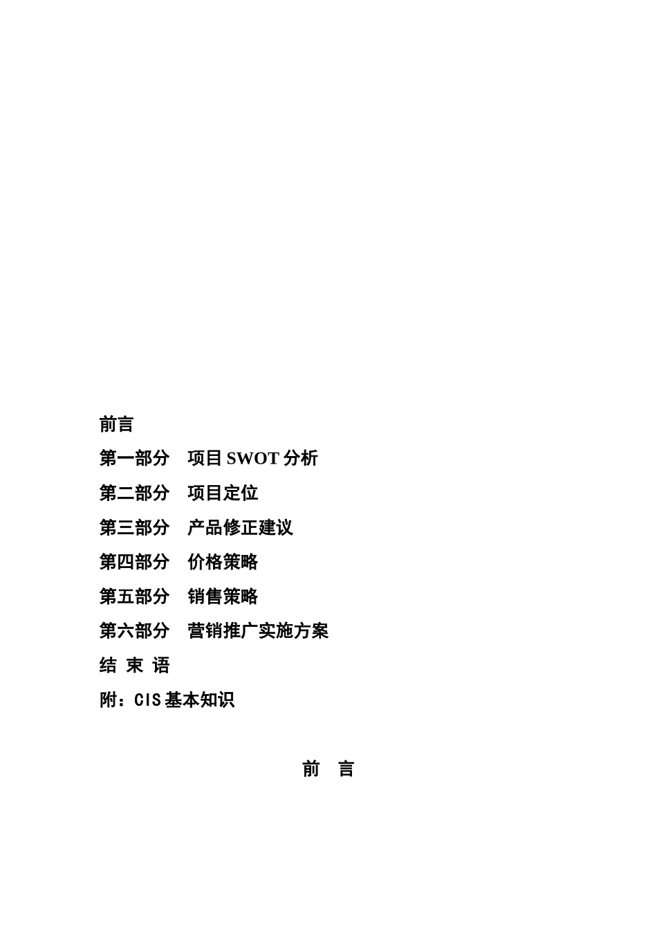 大众营销推广实施全案_第1页