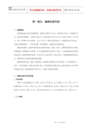 潼南项目市调报告XXXX0411B