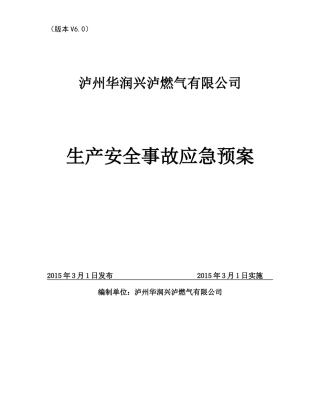 燃气有限公司生产安全事故应急预案