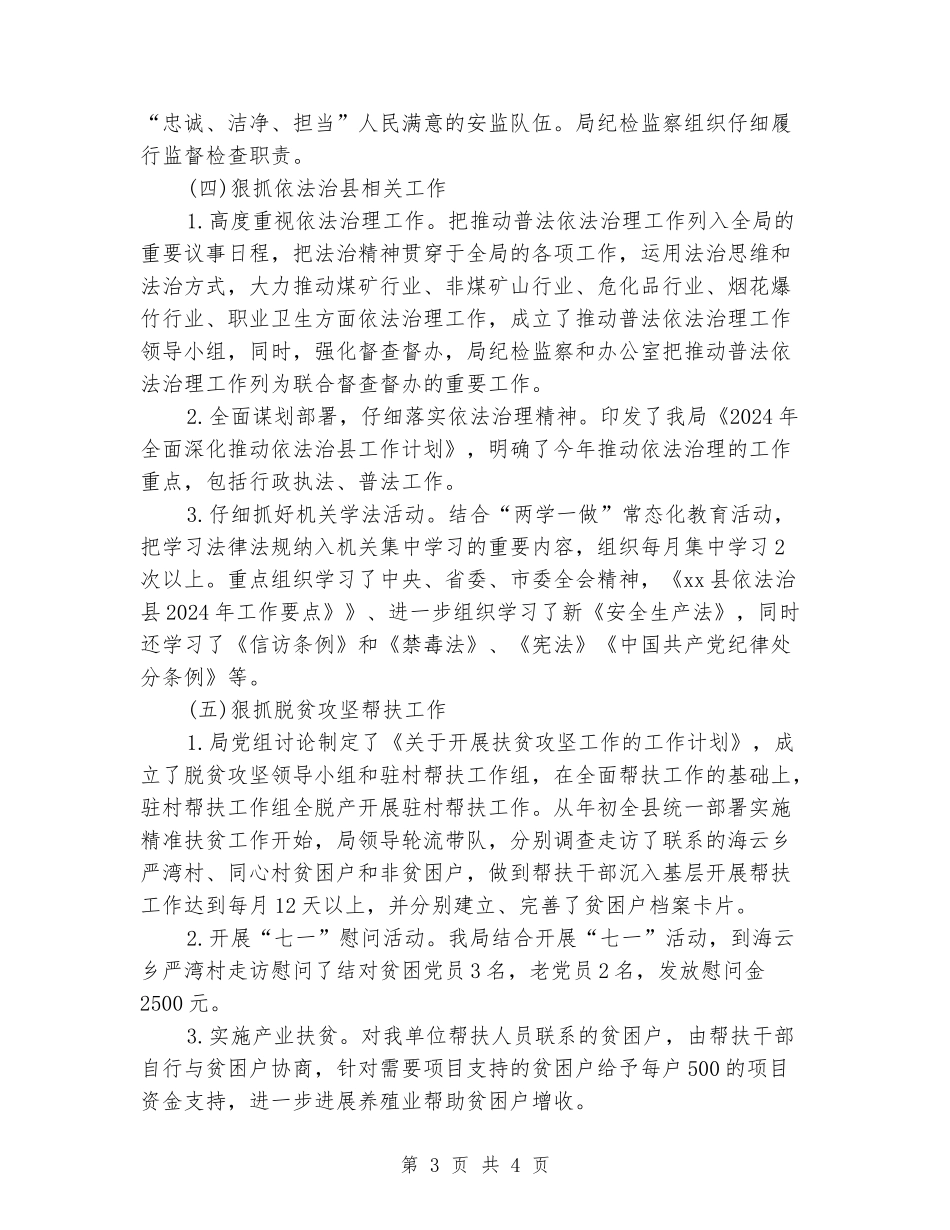 2024年安全生产管理局工作总结_第3页