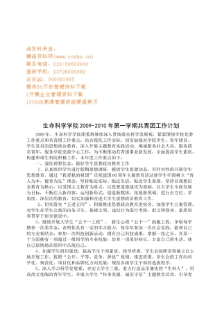 某某学院共青团工作计划