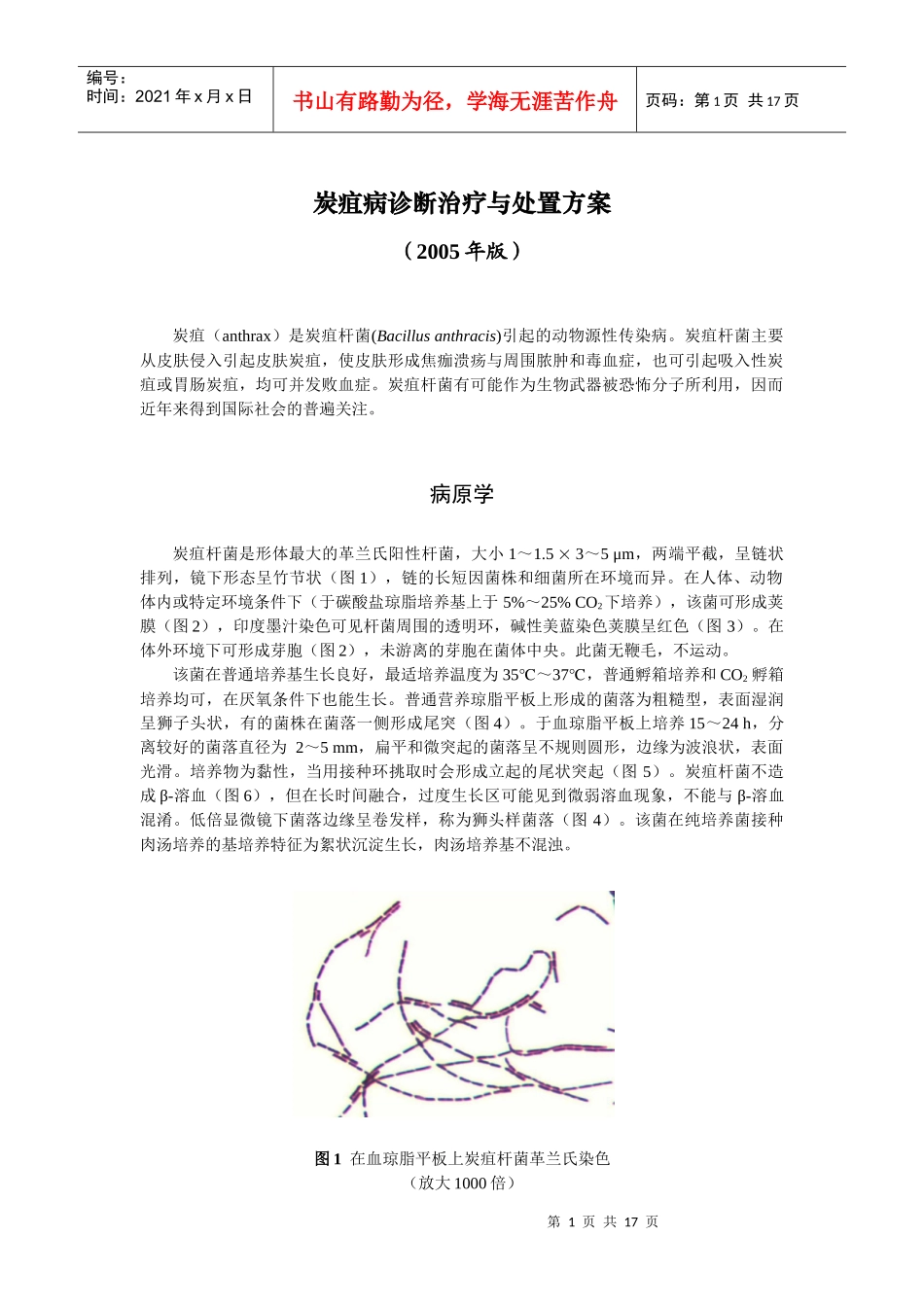 炭疽病诊断治疗与处置方案_第1页