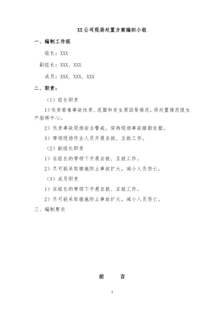 煤矿事故应急处置方案(DOC38页)