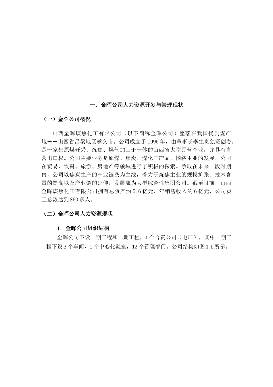 某某公司人力资源规划方案实施策略_第2页