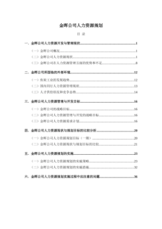 某某公司人力资源规划方案实施策略