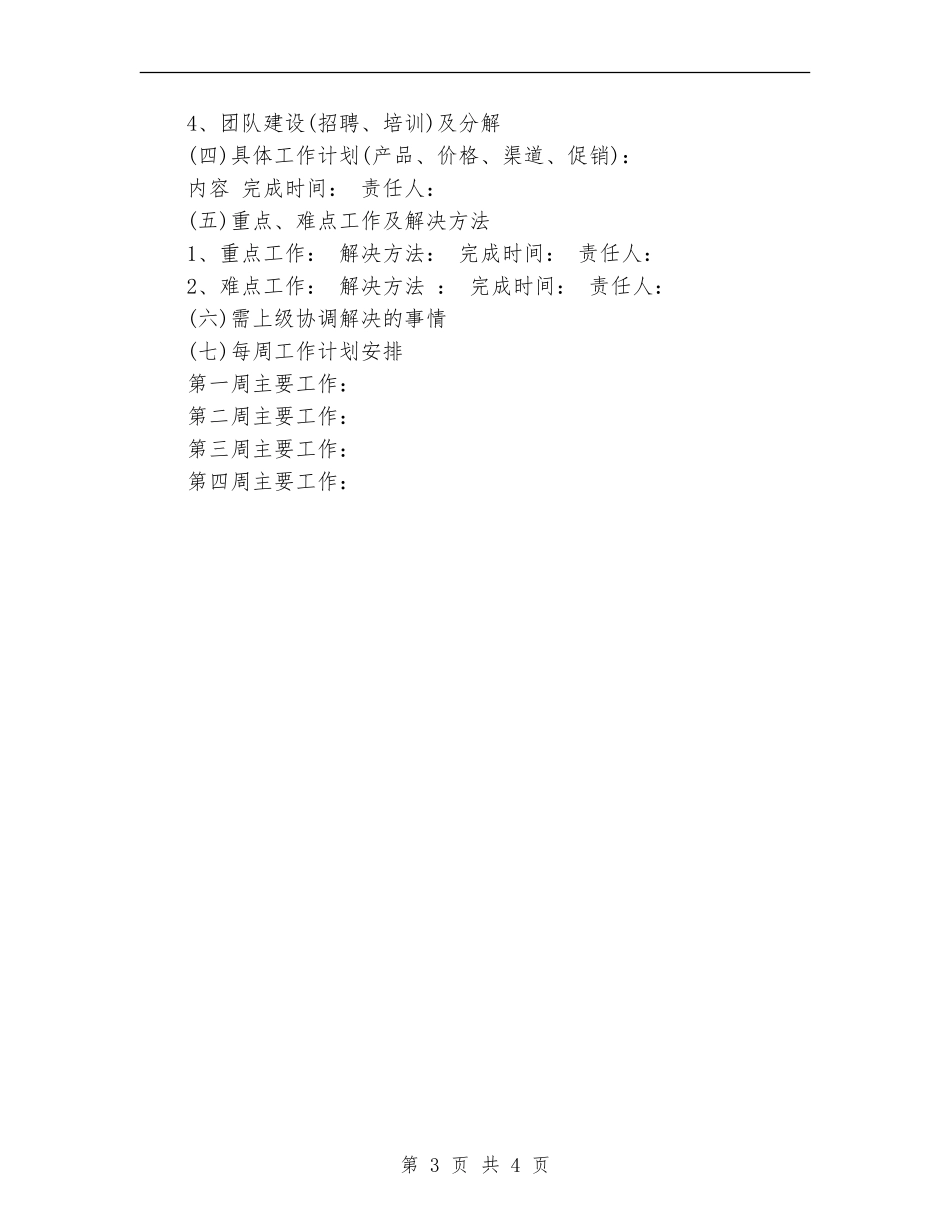 三月工作计划表格_第3页