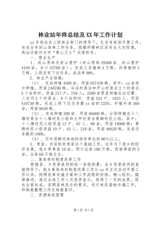 林业站年终总结及XX年工作计划