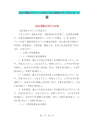 2024保险公司个人计划与2024保险公司工作计划1汇编