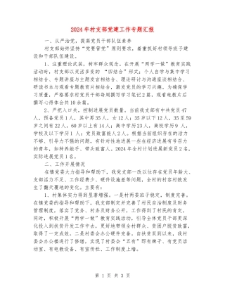 2024年村支部党建工作专题汇报