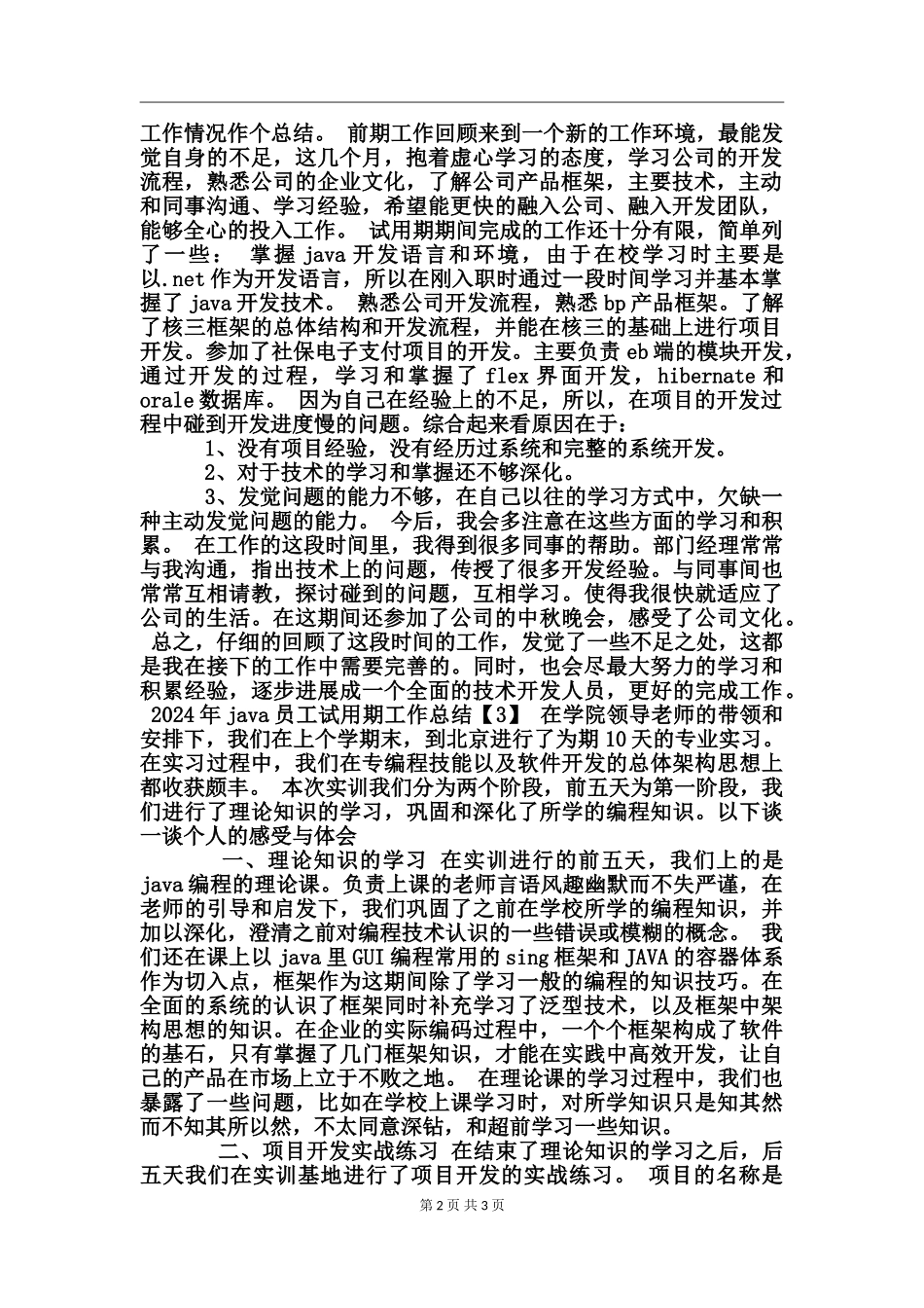 2024年java员工试用期工作总结范文三篇_第2页