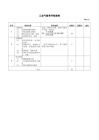 热工燃爆专业组考评检查表