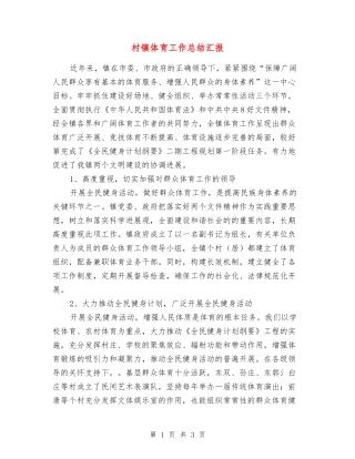 村镇体育工作总结汇报