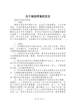 关于规划草案的发言