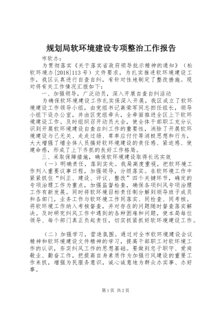规划局软环境建设专项整治工作报告