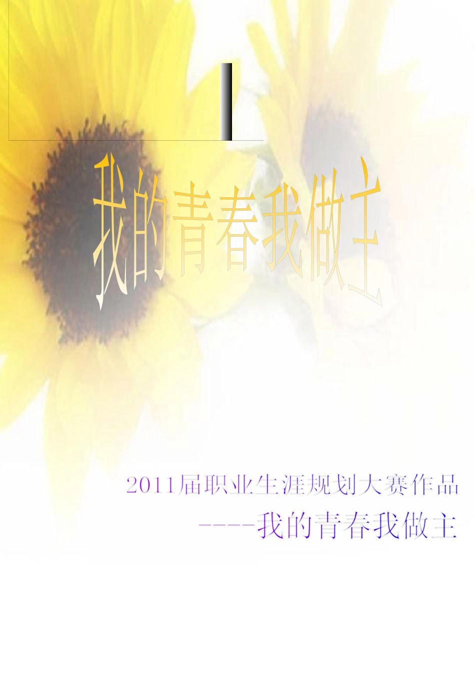 职业规划大赛作品李晓雨_第1页