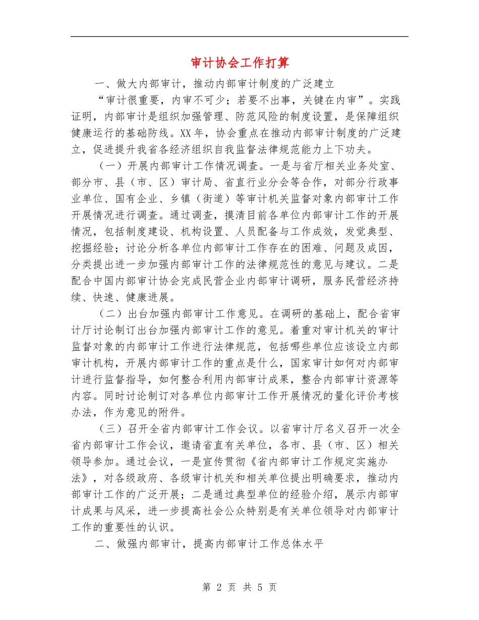 审计协会工作打算_第2页