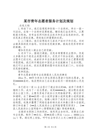 某市青年志愿者服务计划及规划