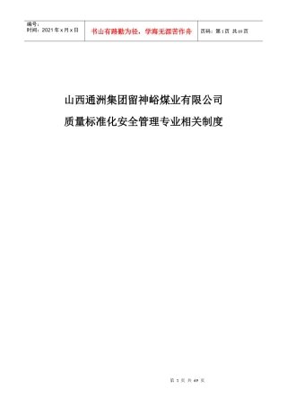 煤业有限公司质量标准化安全管理专业相关制度
