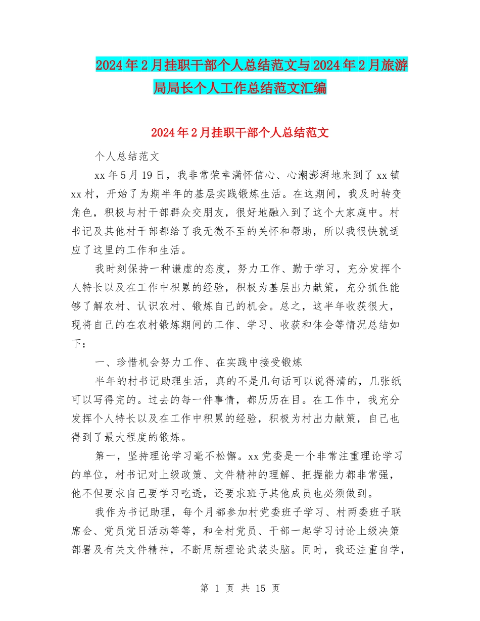 2024年2月挂职干部个人总结范文与2024年2月旅游局局长个人工作总结范文汇编_第1页