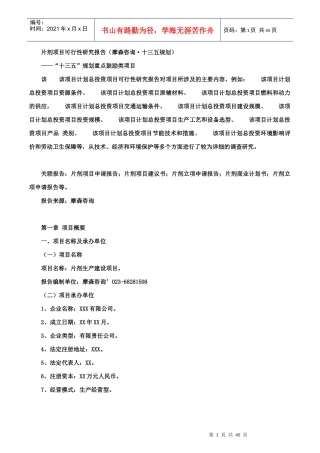 片剂项目可行性研究报告(摩森咨询·十三五规划)