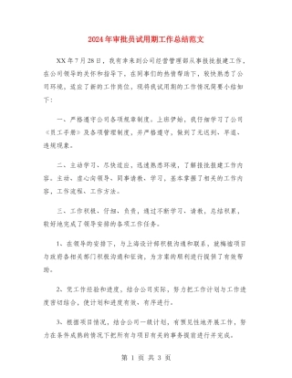 2024年审批员试用期工作总结范文
