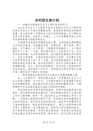 农村团支部计划