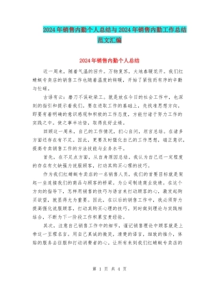 2024年销售内勤个人总结与2024年销售内勤工作总结范文汇编