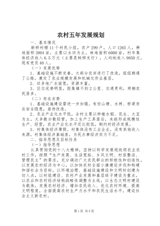 农村五年发展规划