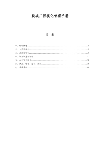 烧碱厂目视化管理手册XXXX0602