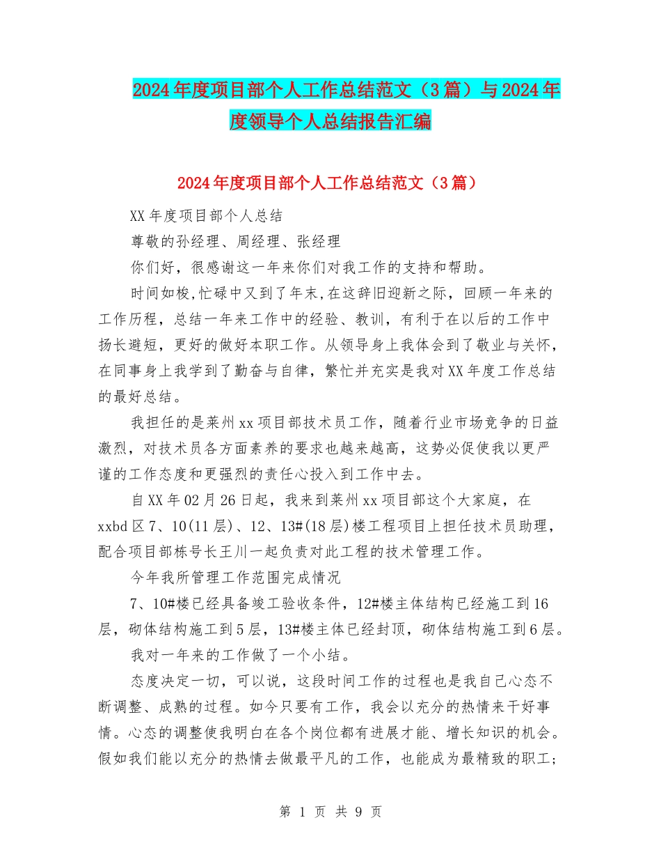 2024年度项目部个人工作总结范文与2024年度领导个人总结报告汇编_第1页