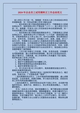 2017年企业员工试用期转正工作总结范文