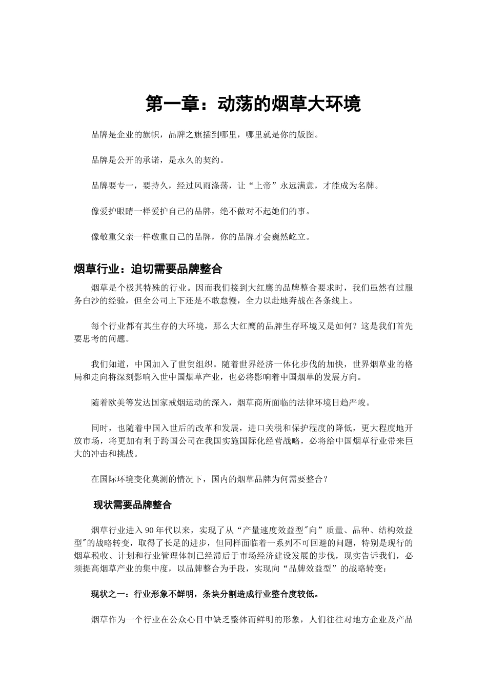 大红鹰品牌营销策划1_第3页