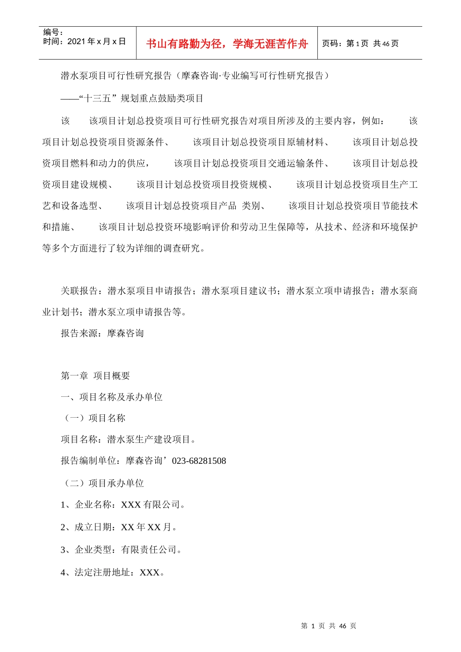 潜水泵项目可行性研究报告(摩森咨询·专业编写可行性研_第1页