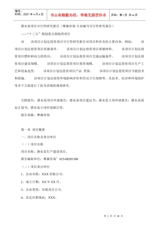 潜水泵项目可行性研究报告(摩森咨询·专业编写可行性研